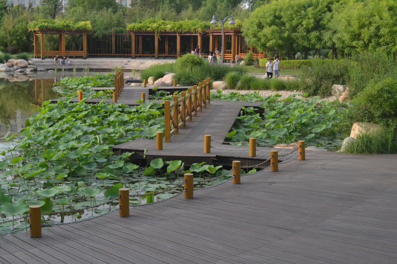 ʵ������